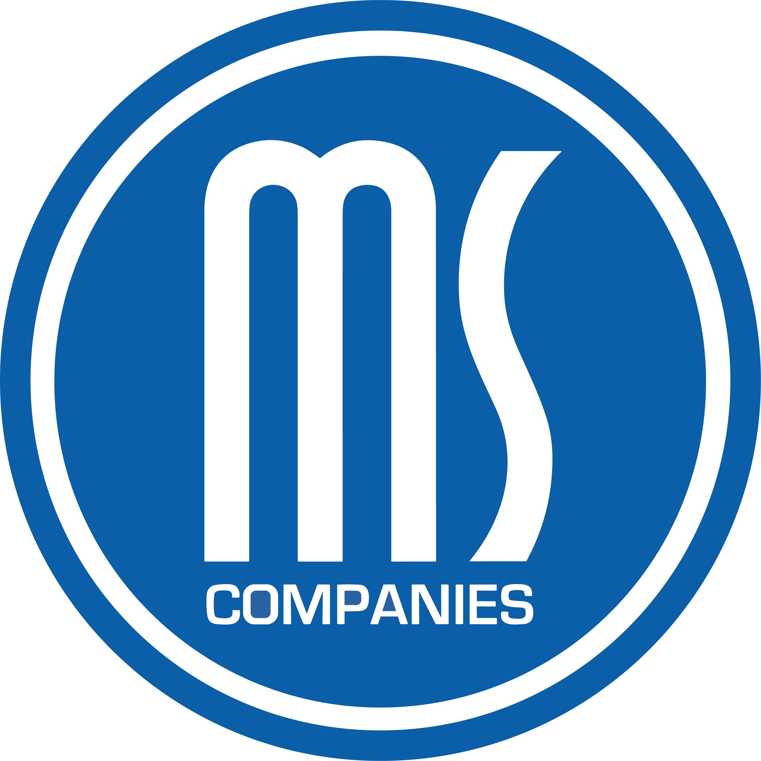 MS Companies